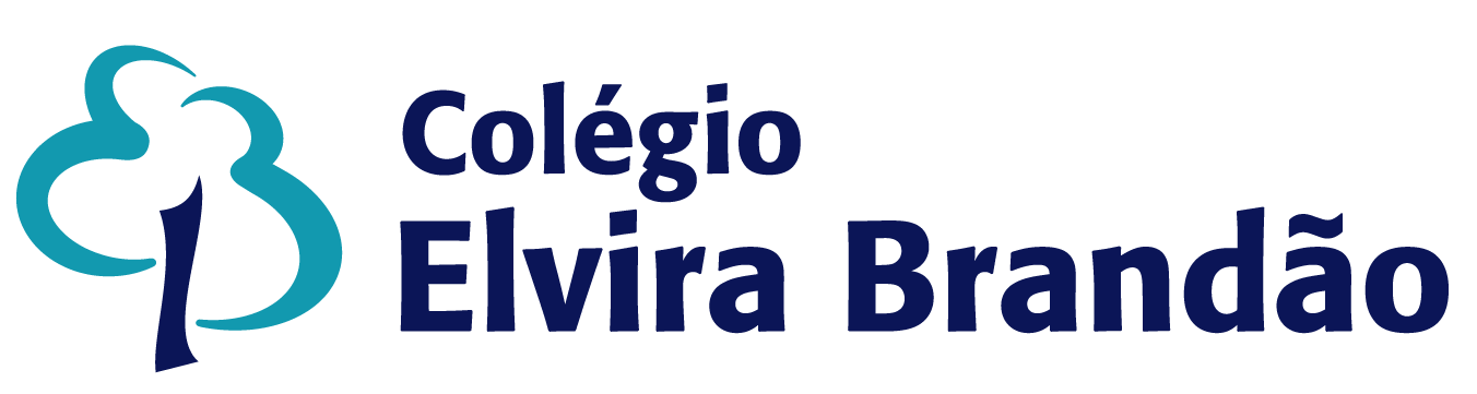 COLÉGIO ELVIRA BRANDÃO